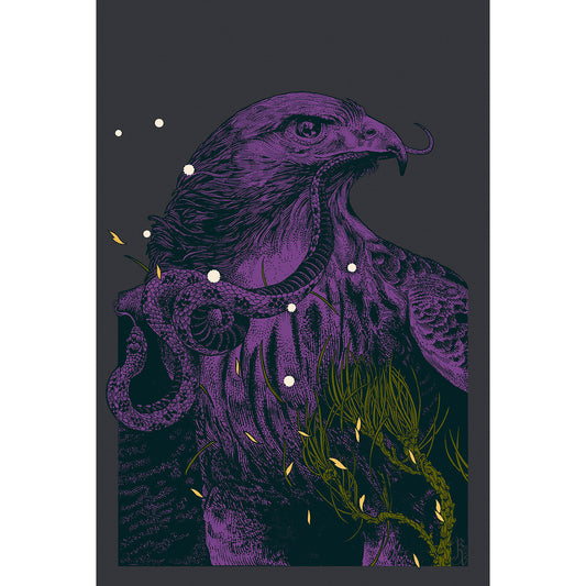 Hawk - Variant
