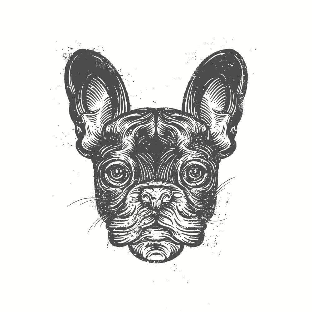 Frenchie