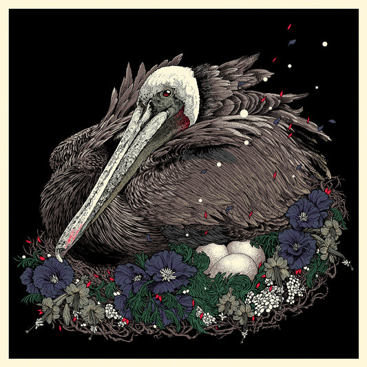 Pelican