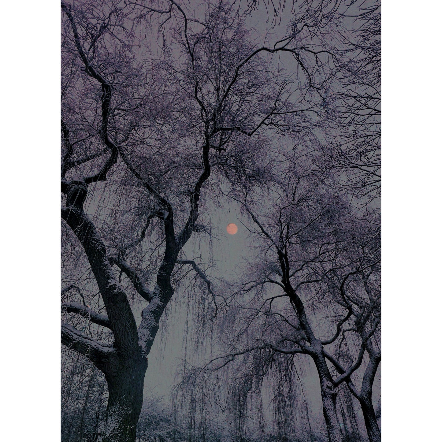 The Deep of Winter
