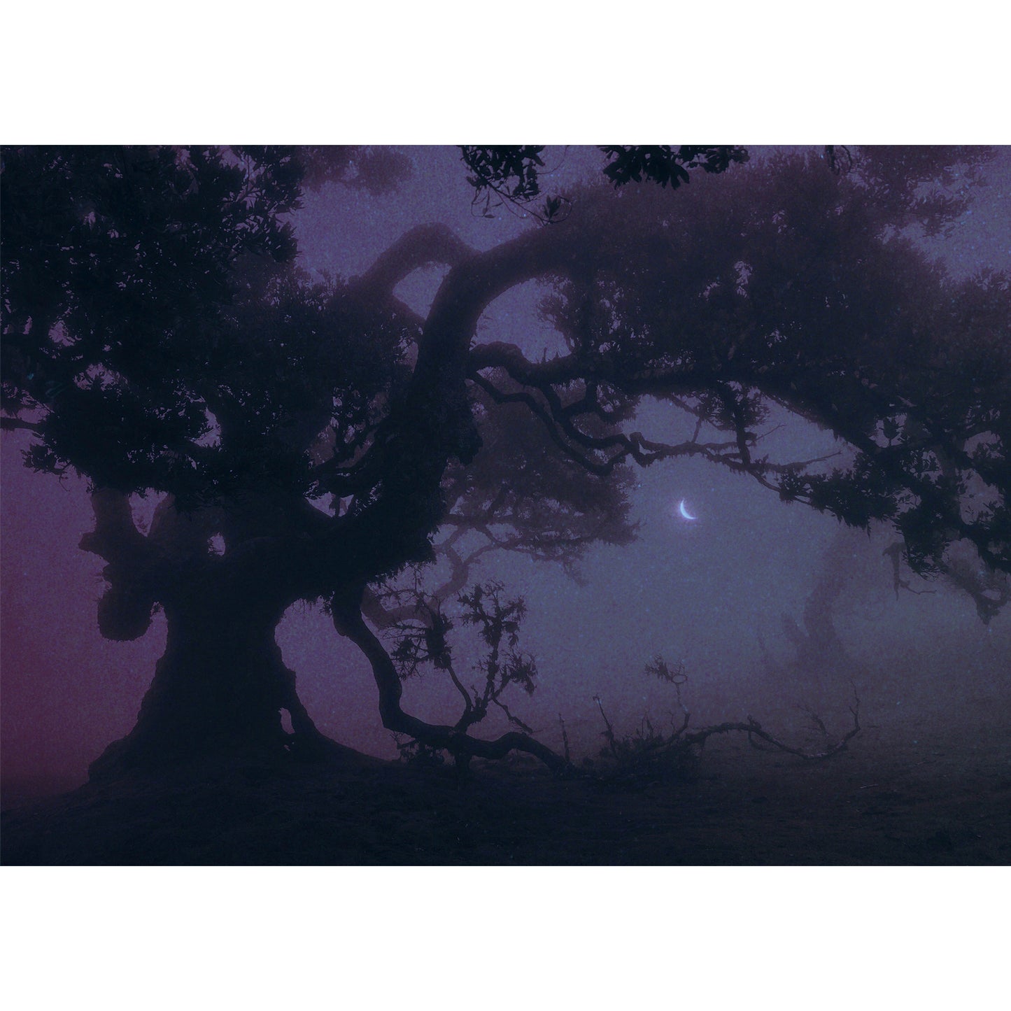 Under the Waning Crescent