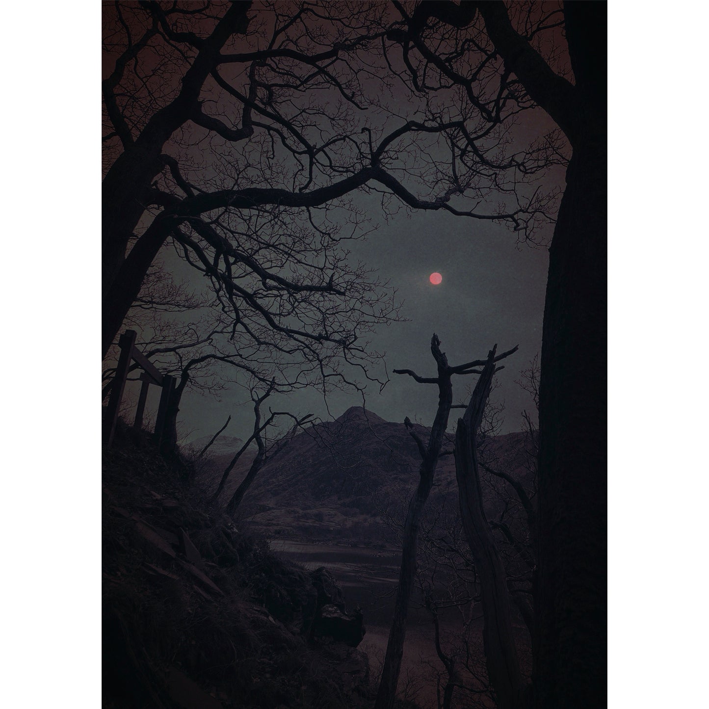 A Beacon in the Dark