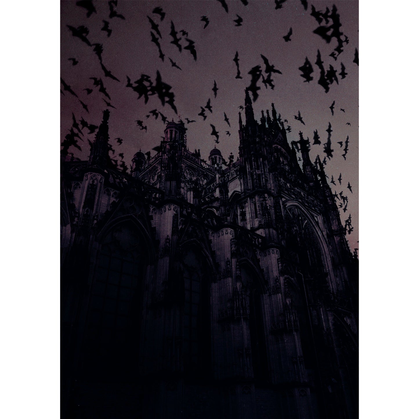 Children of the Night