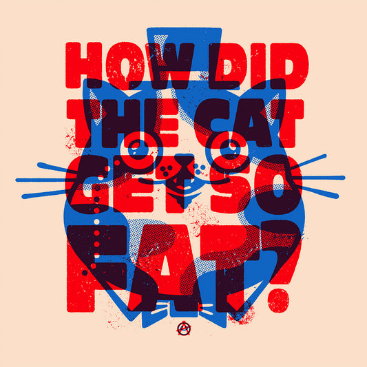 How Did The Cat Get So Fat?