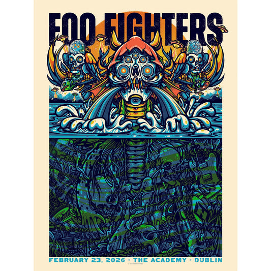 Foo Fighters - Dublin