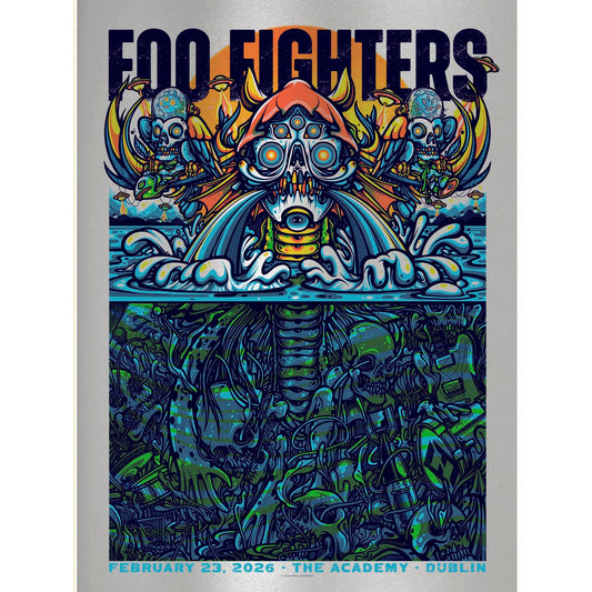 Foo Fighters - Dublin