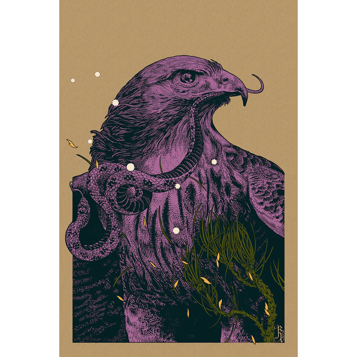 Hawk - Kraft