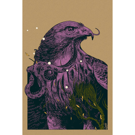 Hawk - Kraft