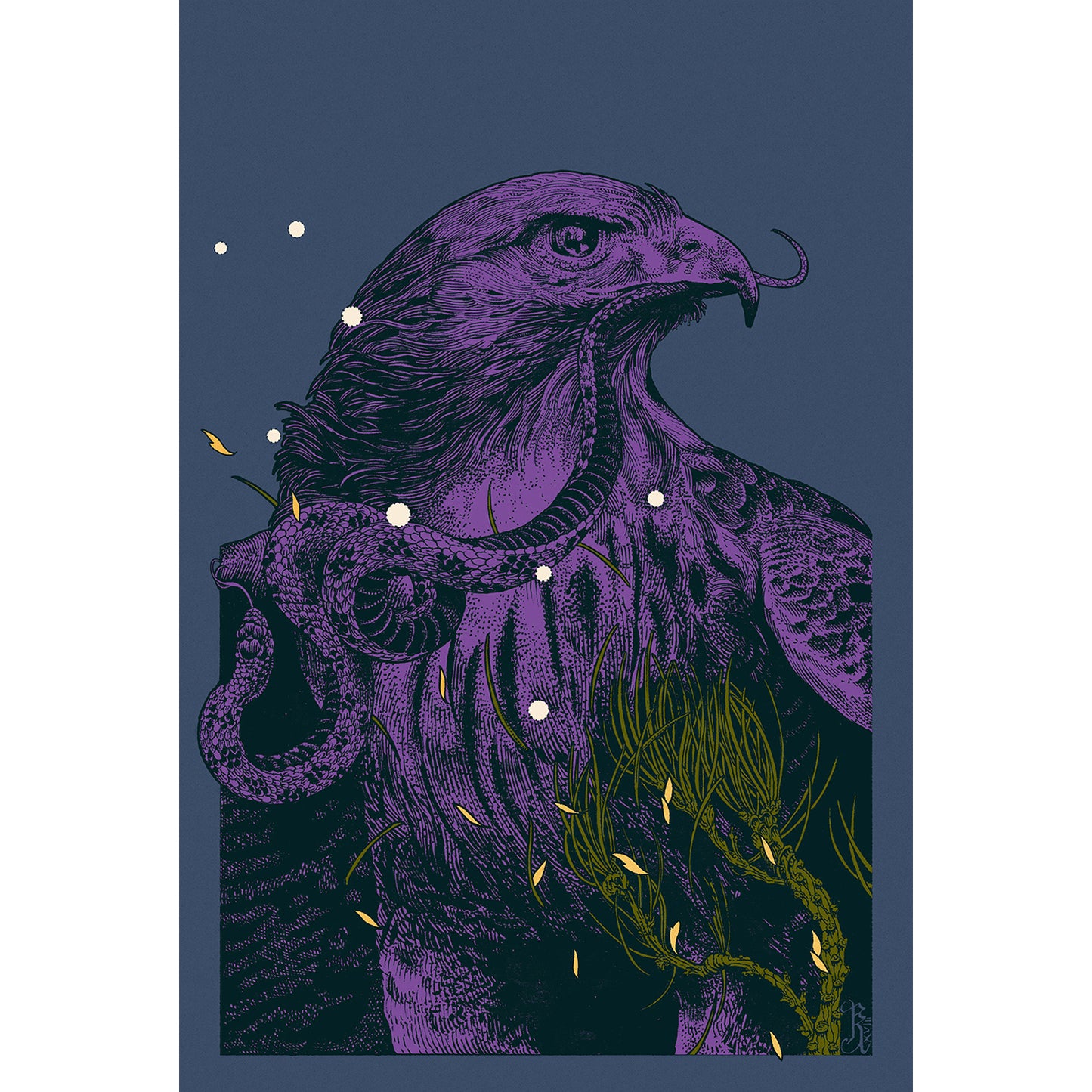Hawk - Variant