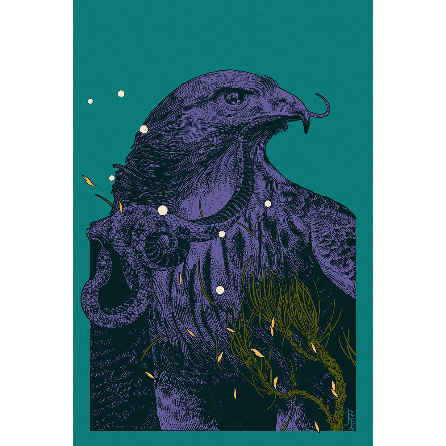 Hawk - Variant
