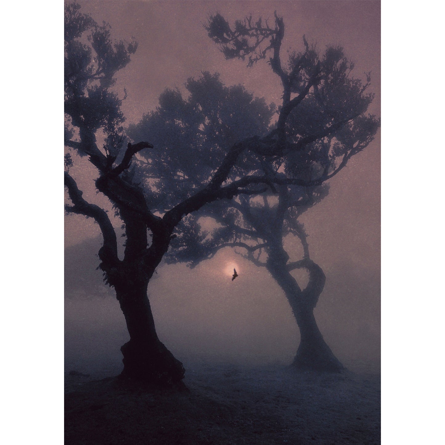 Hiraeth