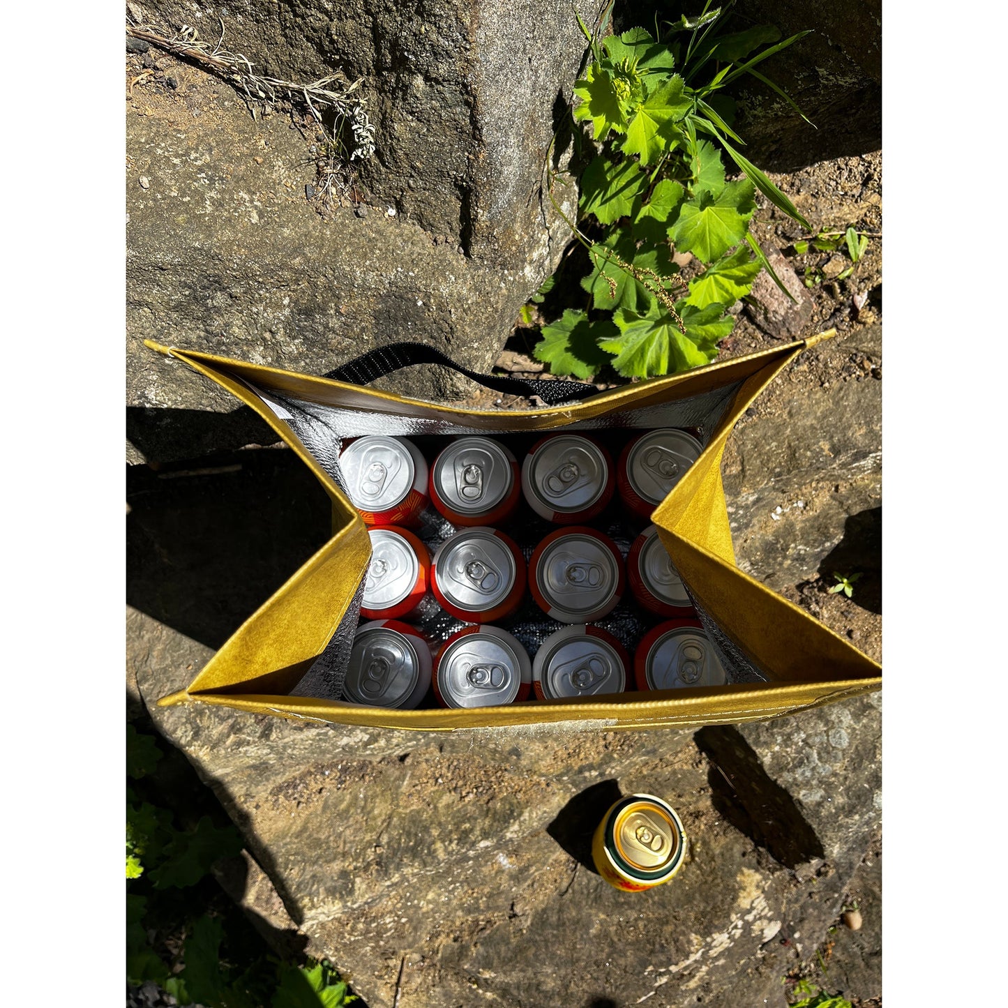 Street Beers Cool Bags & Koozies