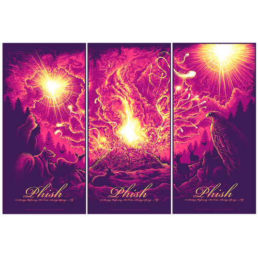 Phish - Saratoga Arts Centre - 2014