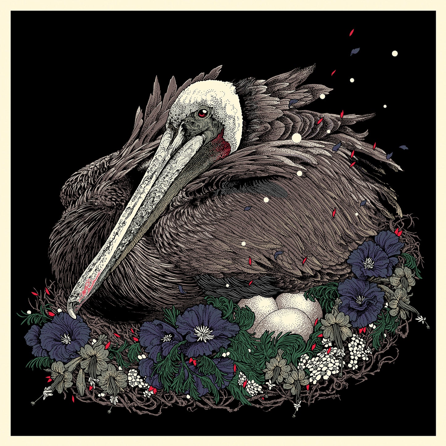 Pelican