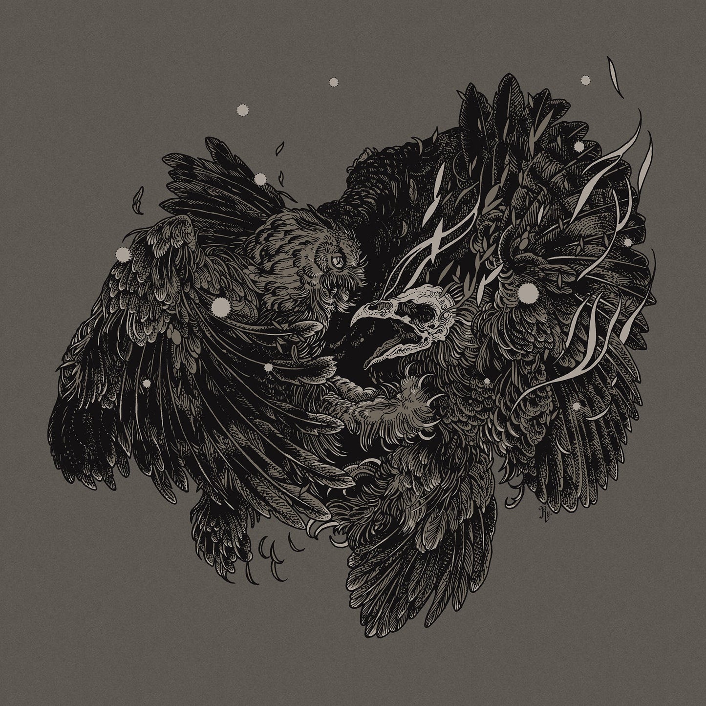Owl Fight