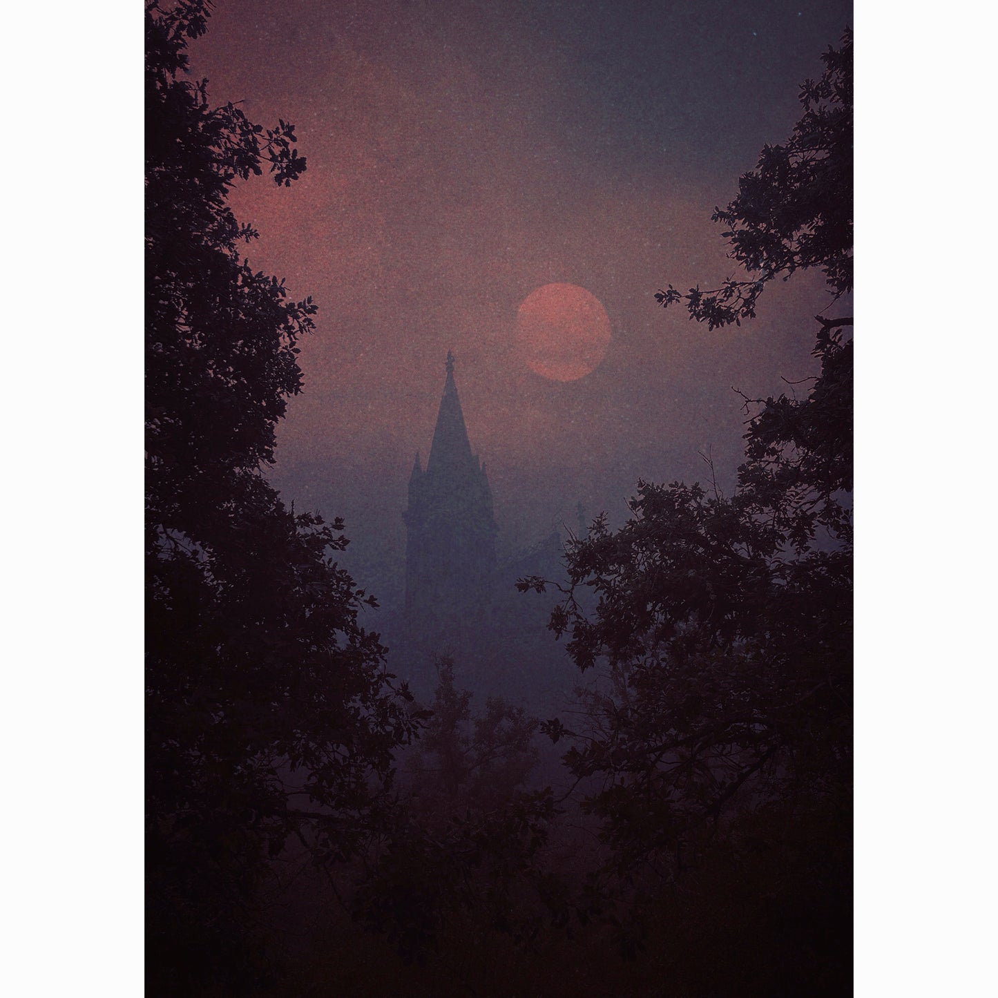 Sanctuary