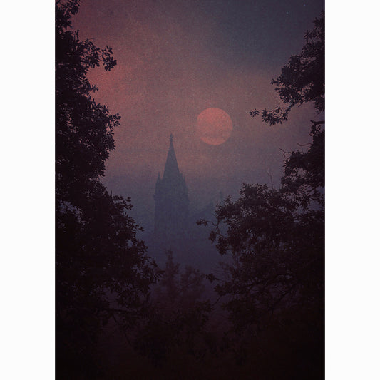 Sanctuary