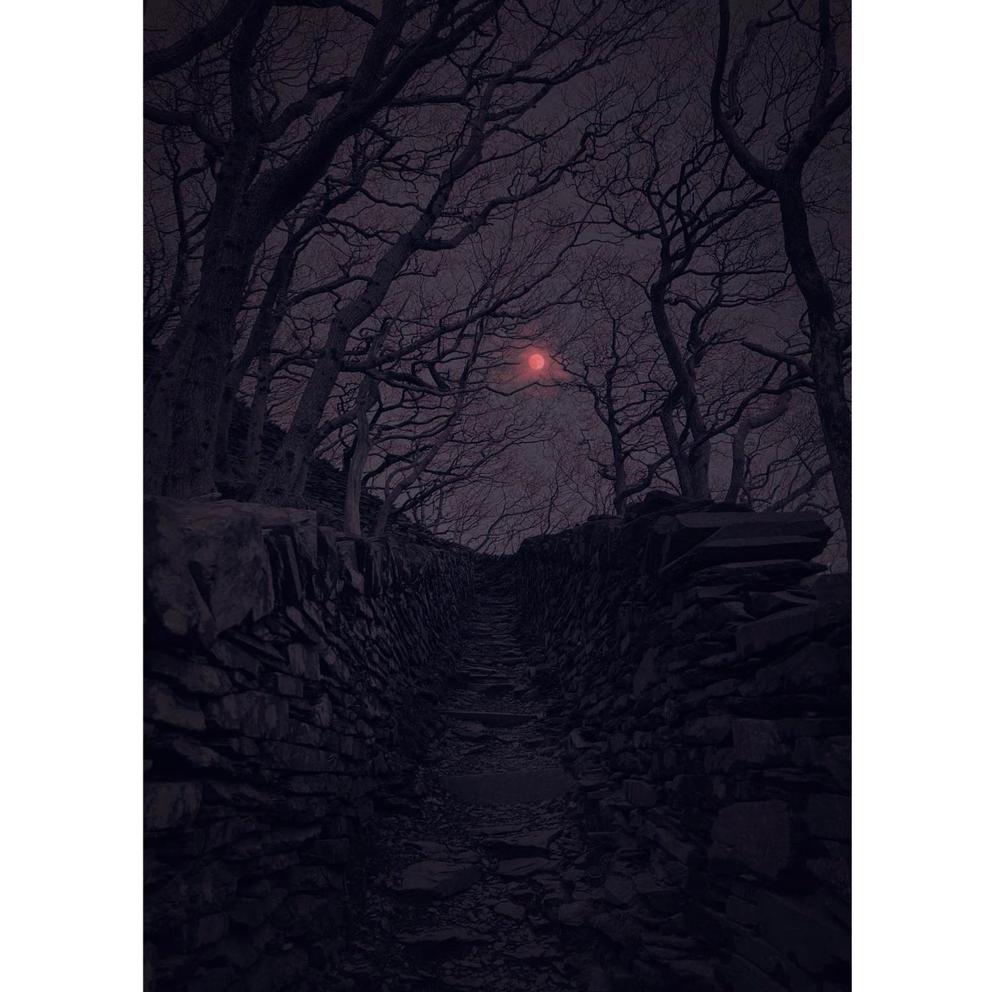 The Path