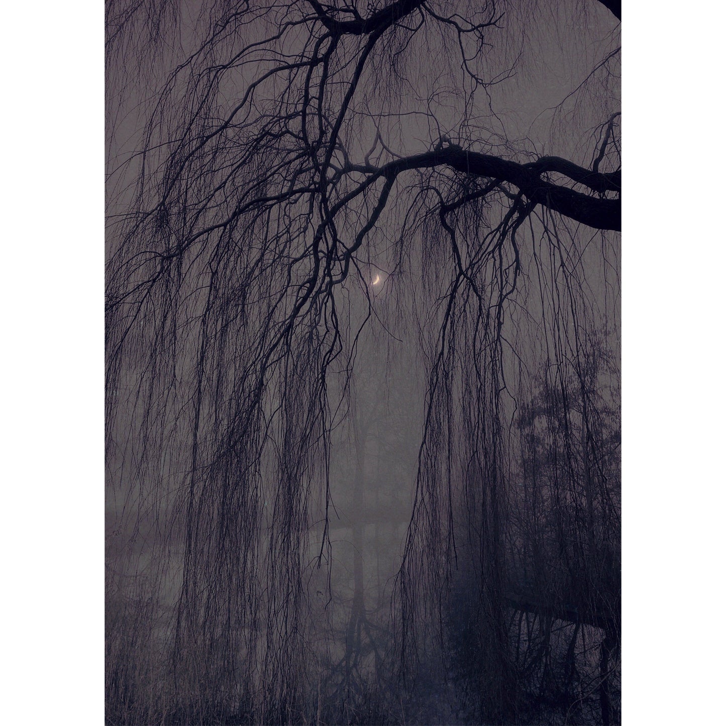 The Twilight Hour