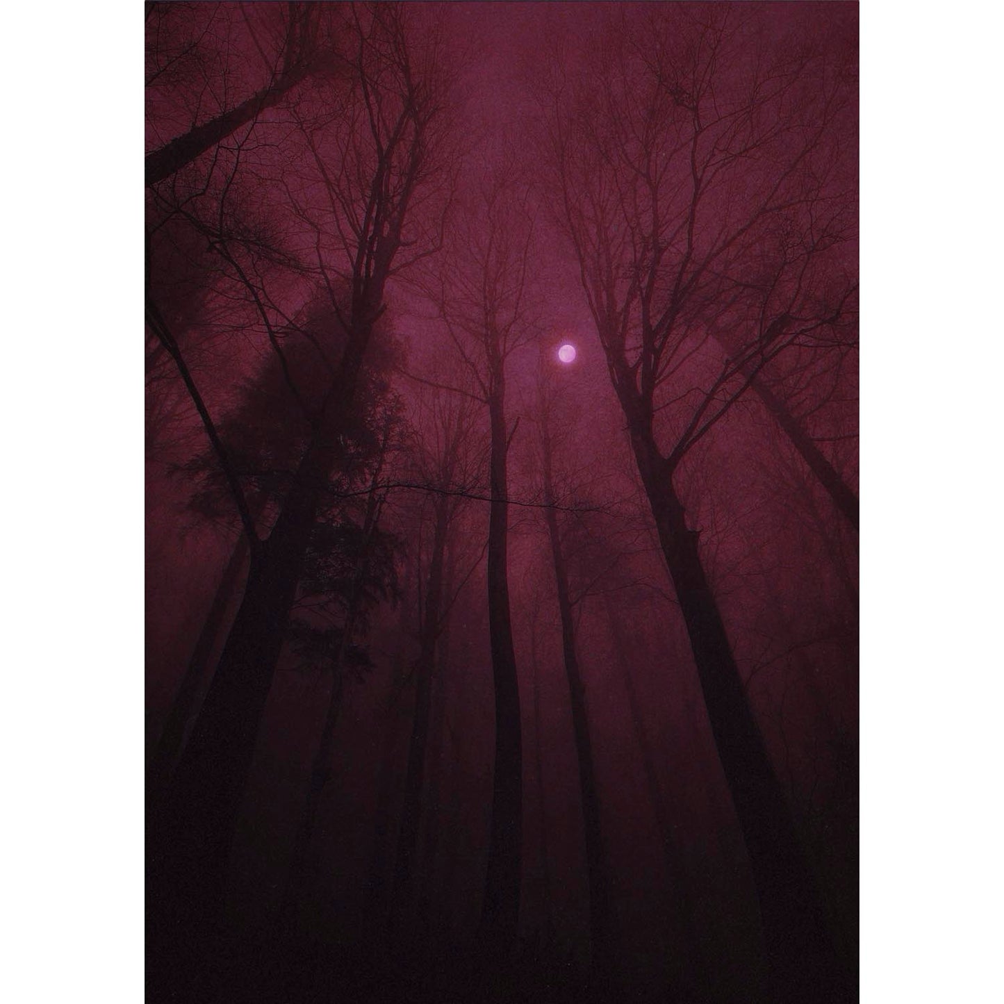 Under the Crimson Sky