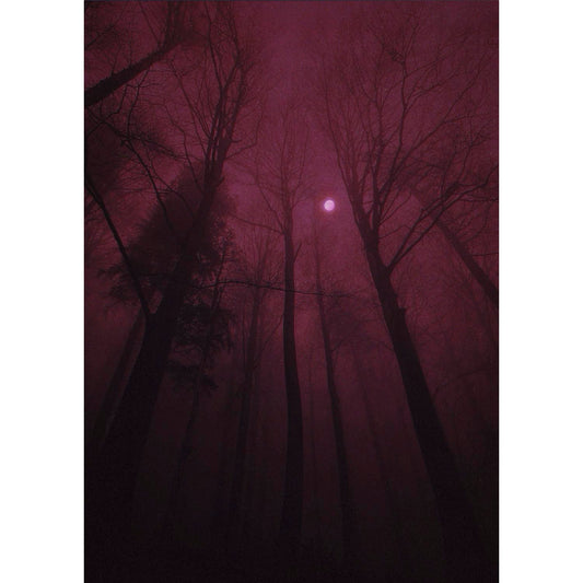 Under the Crimson Sky