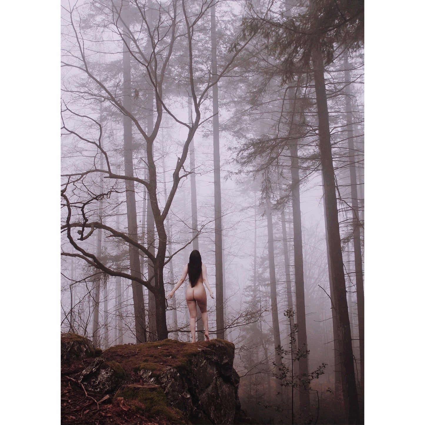 Wild and Free