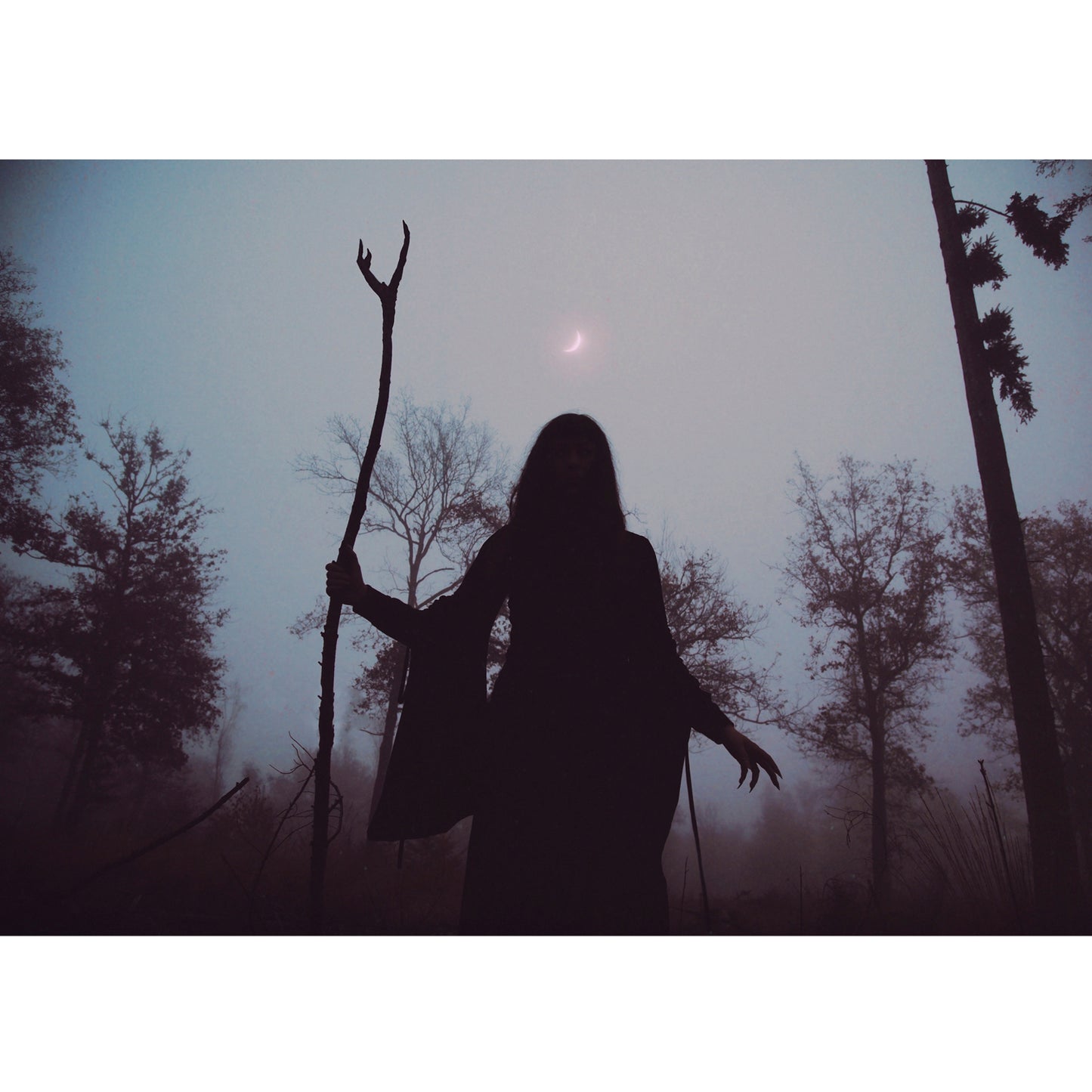 Witch of the Woods