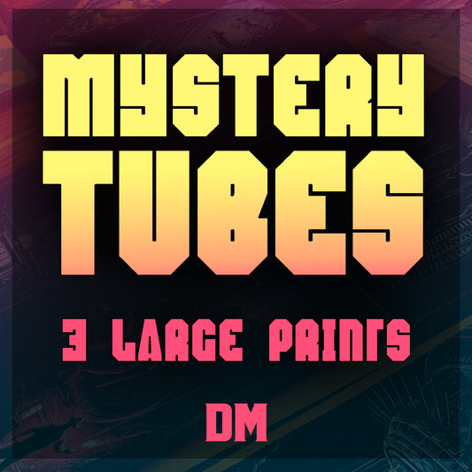 Mystery Tube Large - 3 x 18"x24" Random Prints