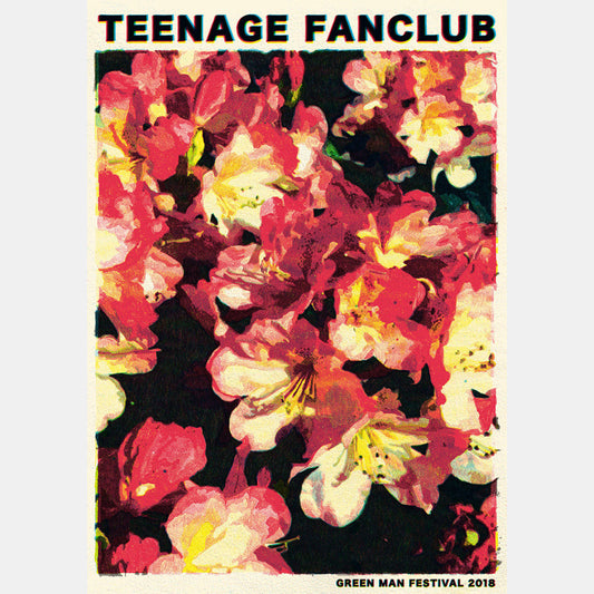 Teenage Fanclub